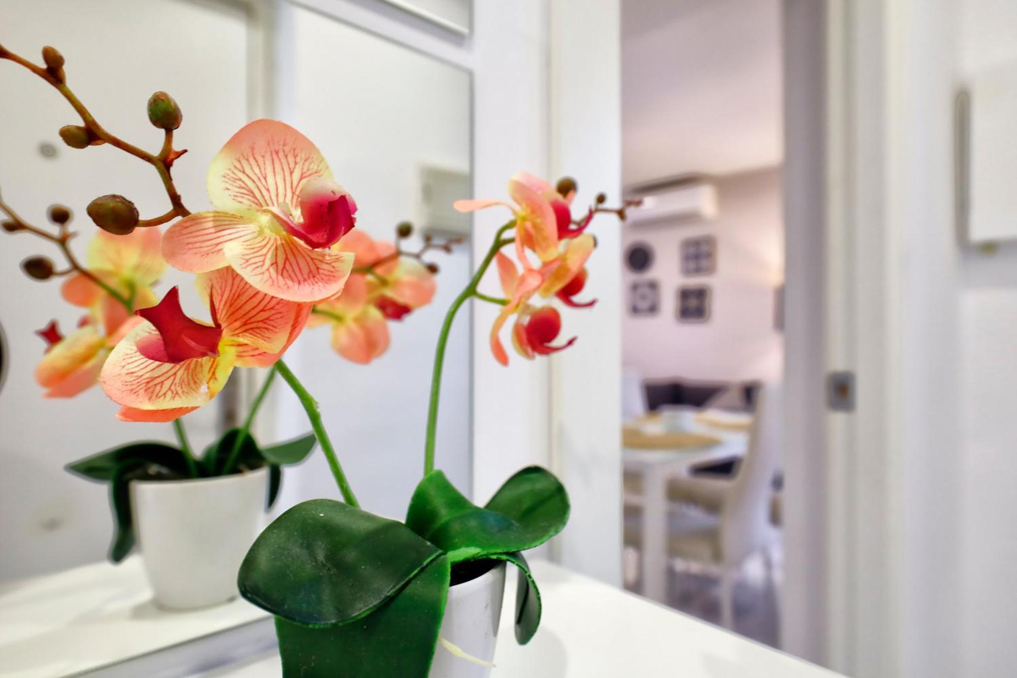 Encanto En La Juderia: Apartamento Con Patio قرطبة المظهر الخارجي الصورة